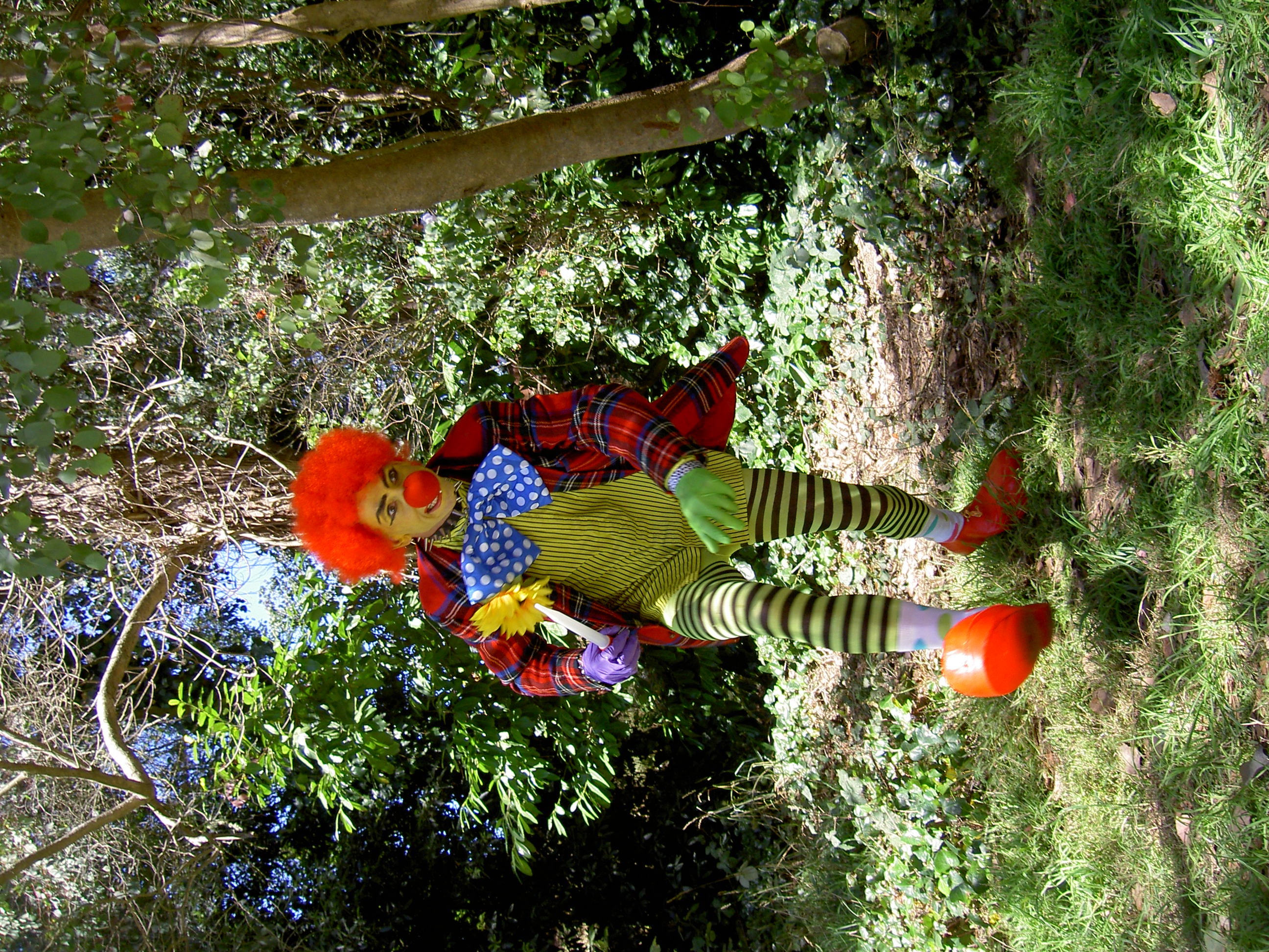 Birthday Party Clown