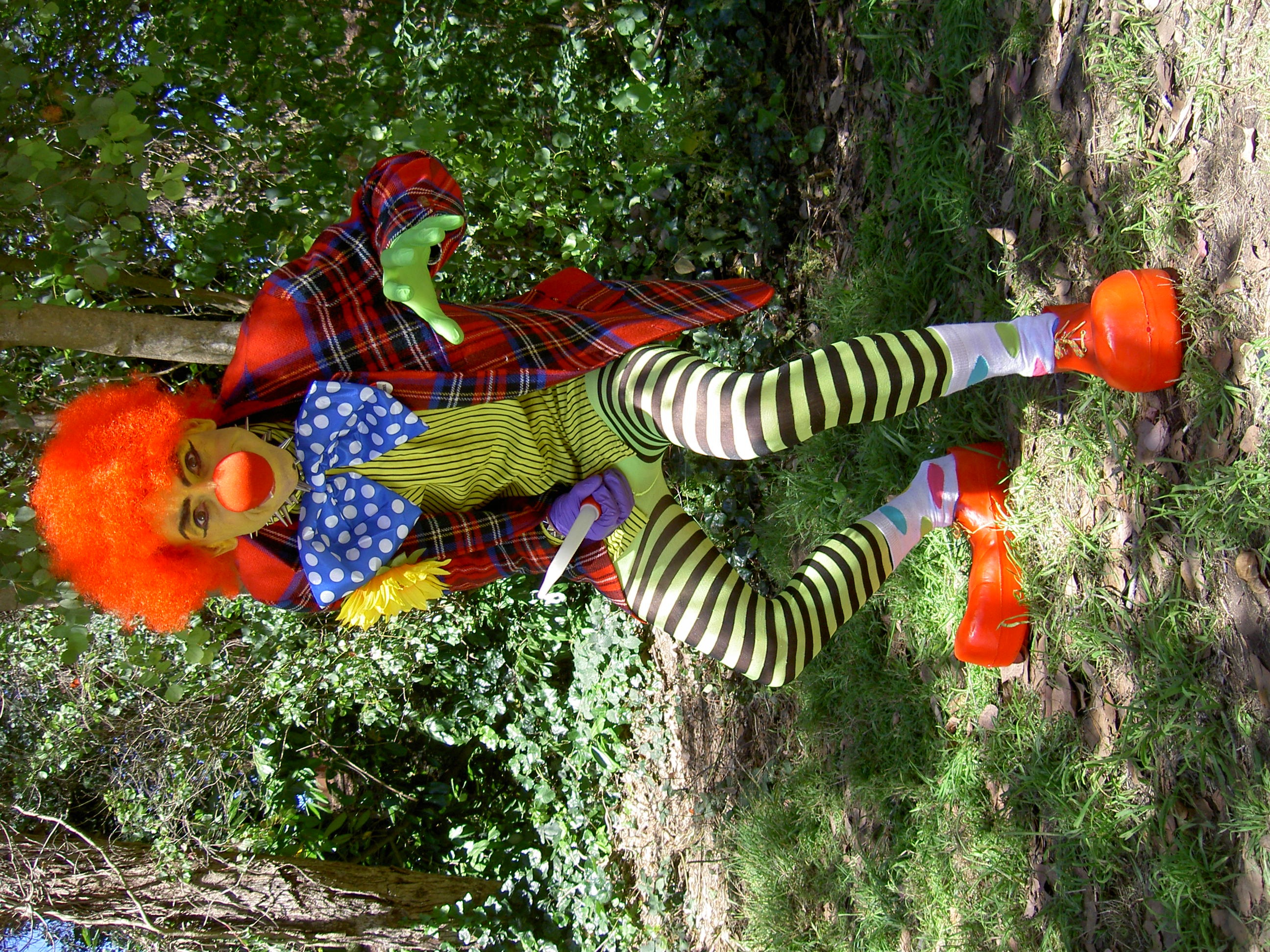 Birthday Party Clown